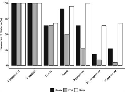 Detection and quantification of bacterial species DNA in bovine digital dermatitis lesions in swabs and fine-needle aspiration versus biopsies